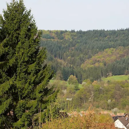 Schoene Aussicht Seelbach (Baden-Wurttemberg)